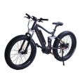 Bicicleta eléctrica Fat Tire con batería de litio de motor MID de 48V 500W Bafang